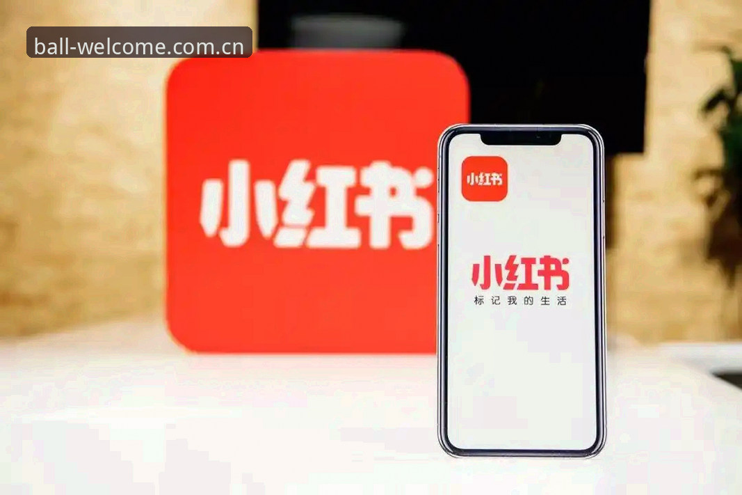 宝威竞猜平台 宝威竞猜平台最新动态:新手入门与功能对比指南,v2.0.5版本实测